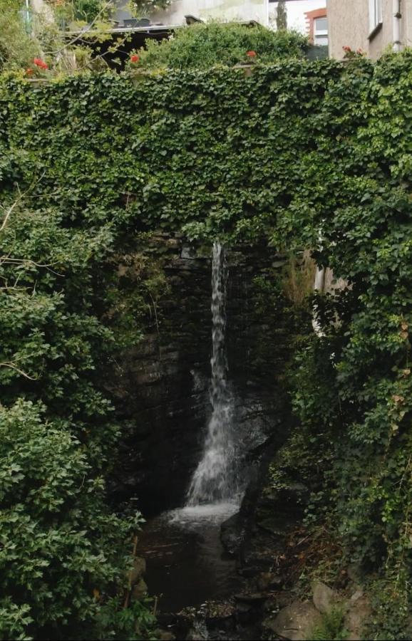 צל אן דר מוזל Ferienwohnungen Am Wasserfall מראה חיצוני תמונה